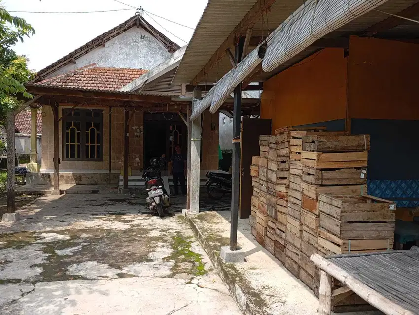 Dijual Rumah Second Murah di Desa Tanjangrono - Mojokerto