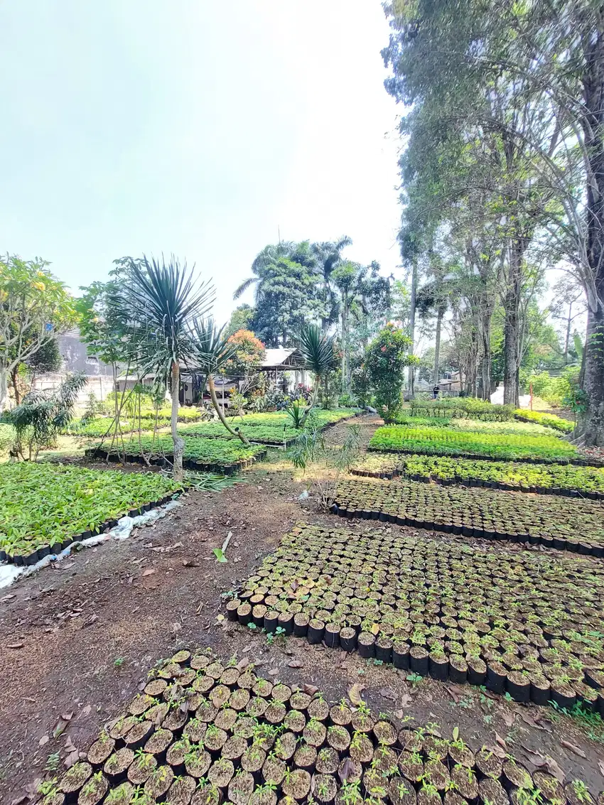 Lahan Di Depok Strategis Untuk Usaha Di Situ Sawangan Depok