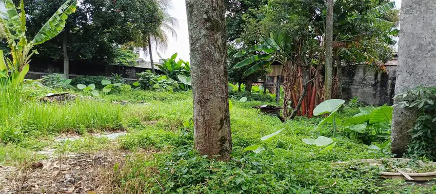 Tanah Jl Margonda Raya, Depok