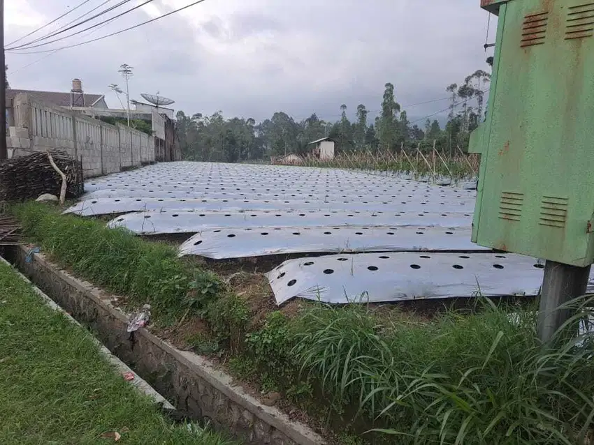 TANAH DIJUAL – LOKASI STRATEGIS PINGGIR JALAN RAYA! Garut Cikajang