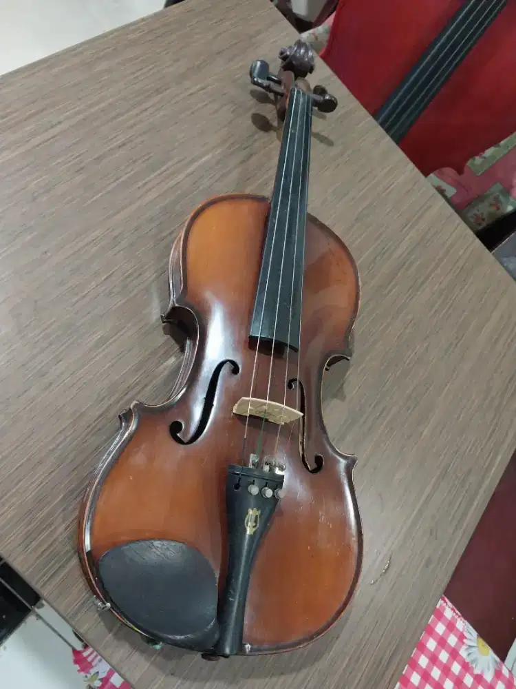 Imported Violin 4/4 Eurostring