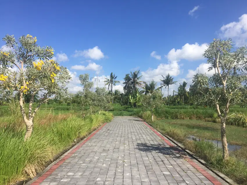 Tanah Kavling 146 m2 di Pering - Gianyar - Bali