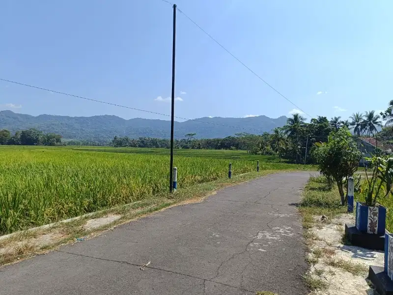 Tanah View Mewah di Nanggulan Kulon Progo