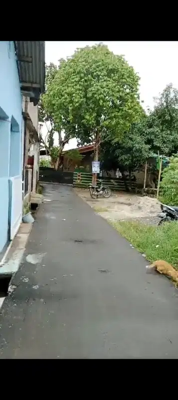 Jual Tanah SHM 450 M2 jl Sukarna Parung Bingung Pancoran mas depok
