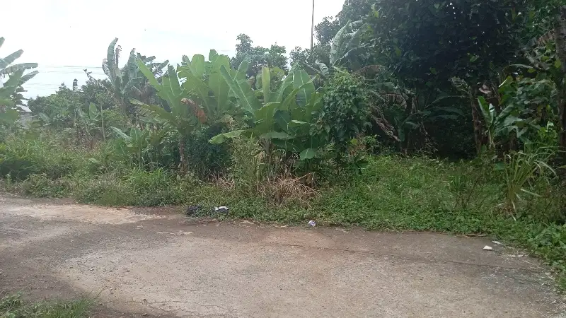 Jual Tanah SHM 430m2 di Cinangka sekolah insan Kamila jl anggrek