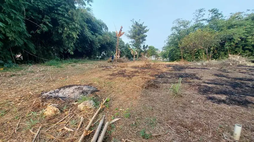 Beli Tanah Sekarang, Harga Mulai 1,5 Juta per Meter!