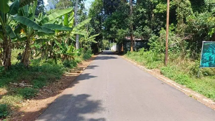 Tanah Kavling Super Murah Nempel Jalan SHM di Kandri Gunungpati