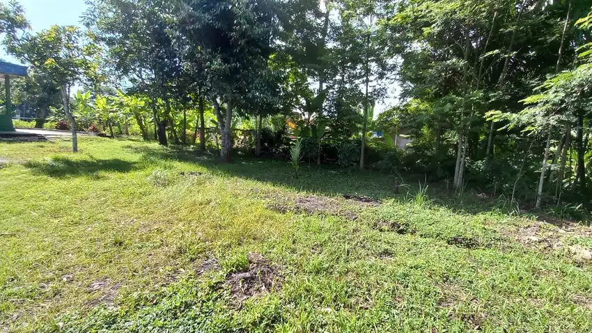 Dijual Tanah Jogja Murah Dekat Rs Muhammadiyah Gamping SHMP