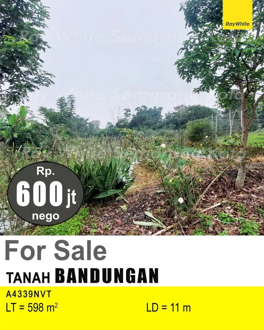DIJUAL TANAH DI BANDUNGAN 4339