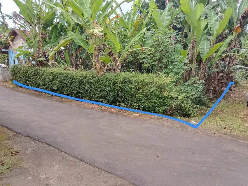 Dijual Tanah Pekarangan di Moyudan Godean Sleman