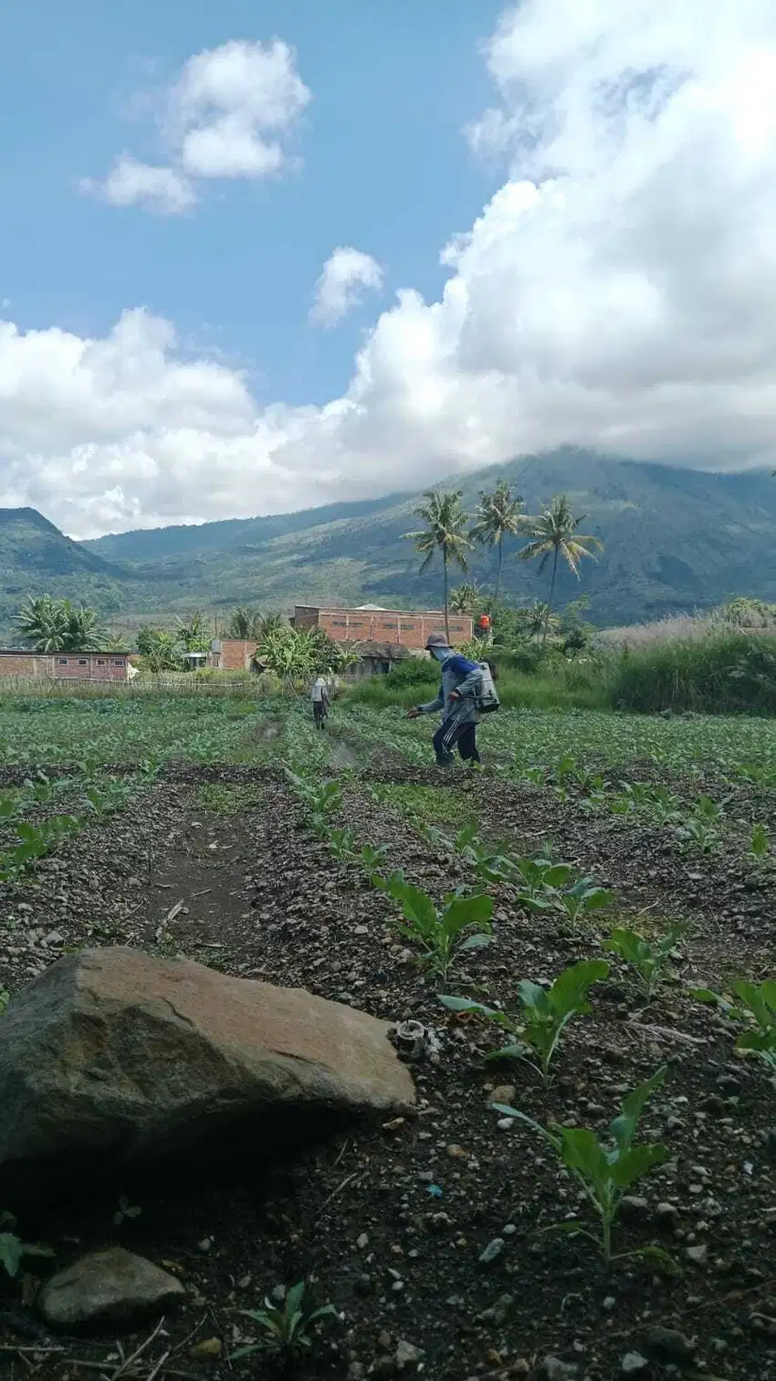 Tanah Strategis View Cantik di Langensari Tarogong Kaler Kota Garut