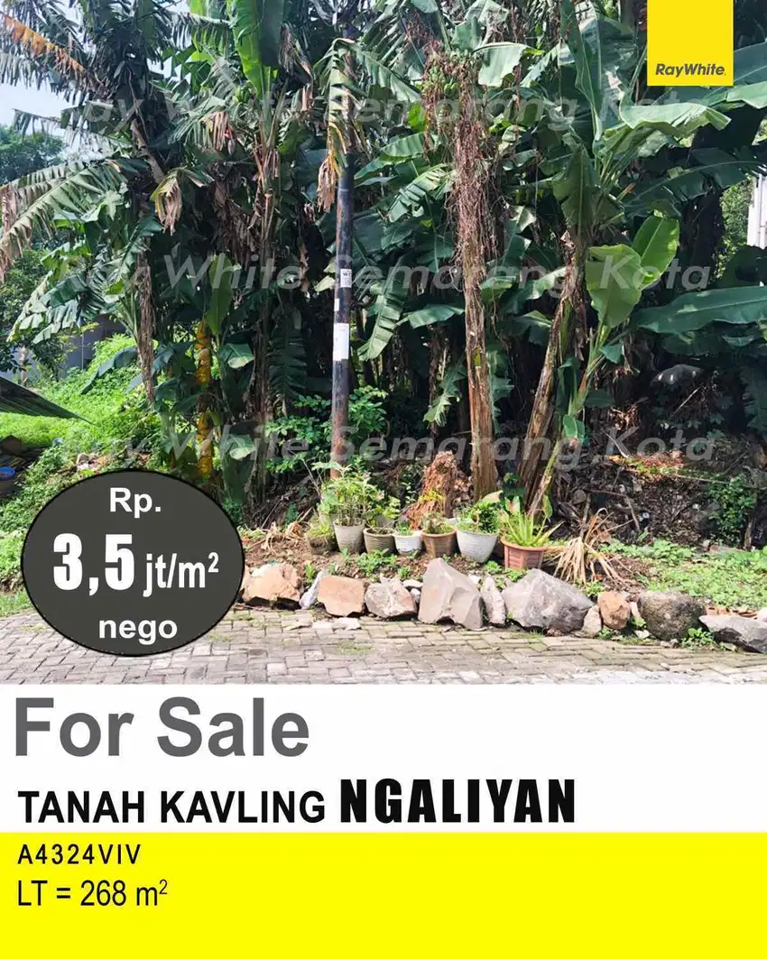 DIJUAL TANAH DI NGALIYAN A4324