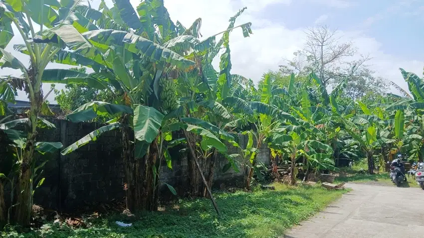 DIJUAL TANAH KOSONG 385 m2 DEKAT BY PASS I B MANTRA KESIMAN - DENPASAR
