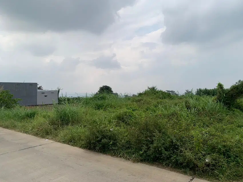 Tanah Murah Landungsari Dekat Pondok Thursina, Bebas Banjir
