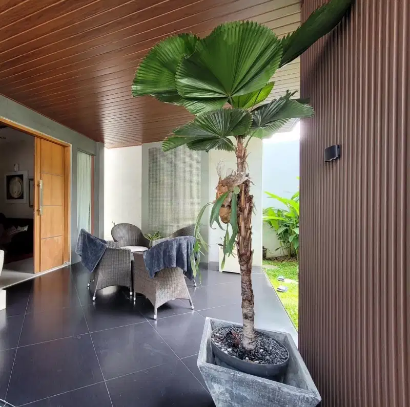Luxury home Interior premium private Swimming pool di Banyumanik