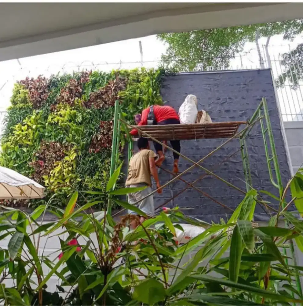 Pembuatan taman vertical Garden