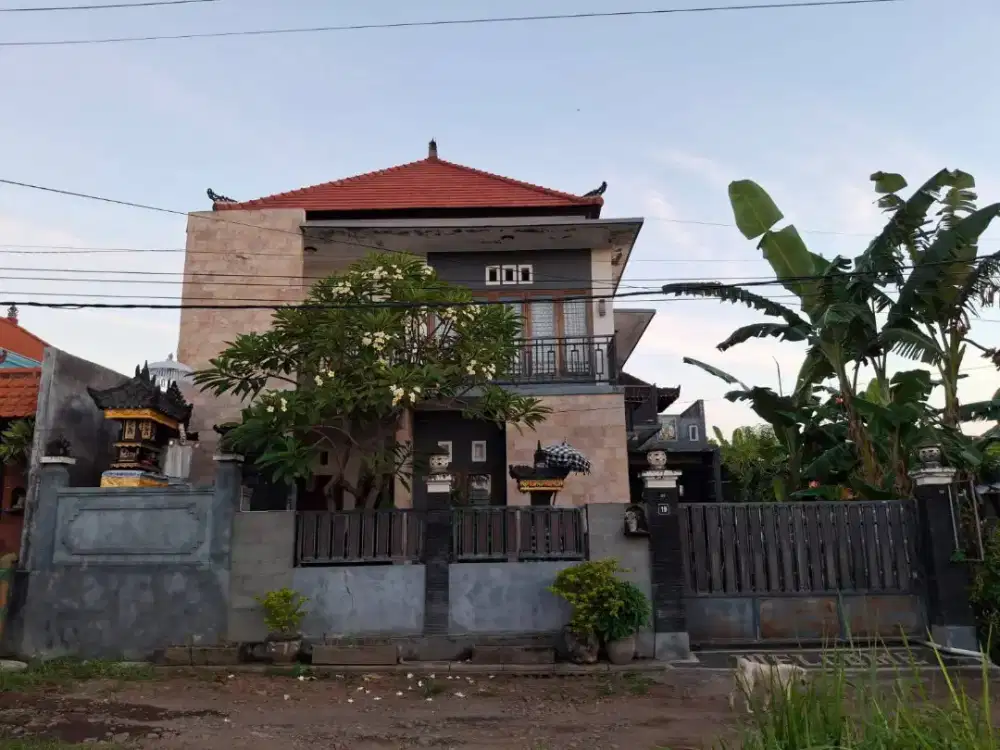 Rumah di banyuning singaraja pulau komodo