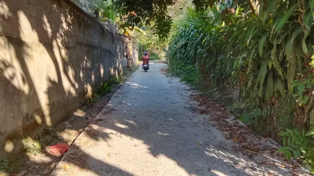 Tanah siap bangun panji dusun bangah singaraja