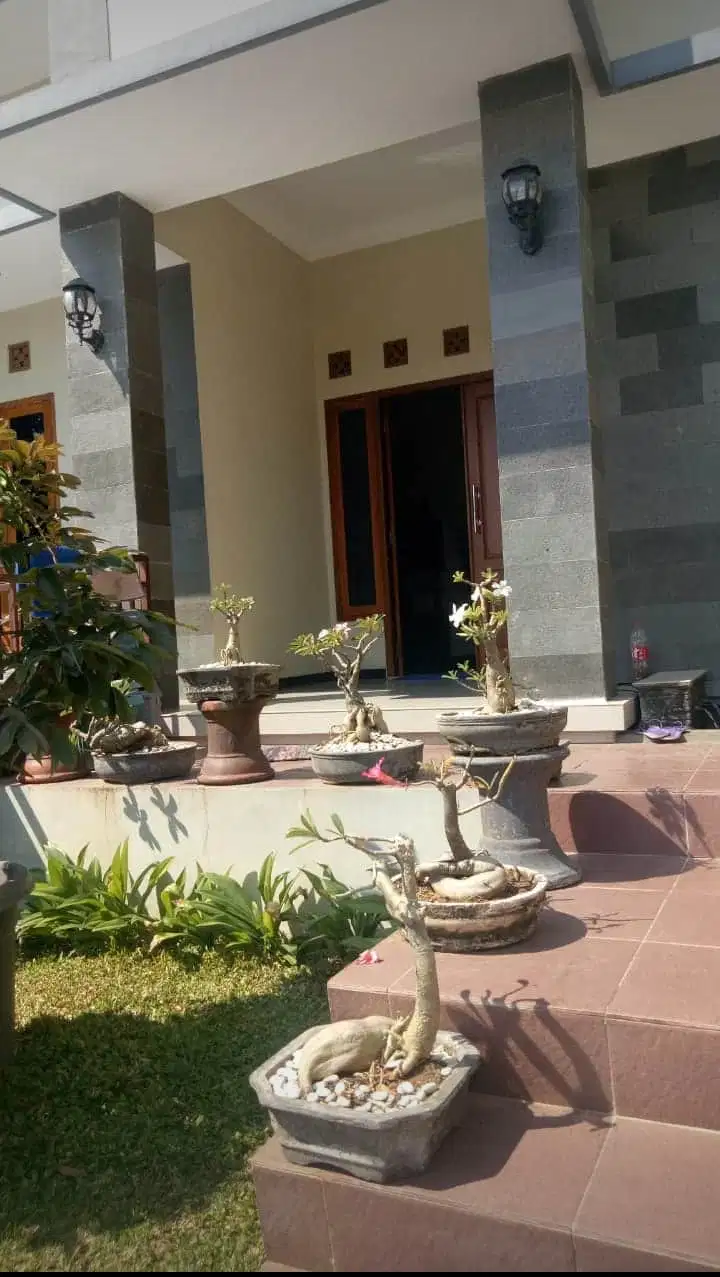 Dijual Rumah Kos Jl. Candi Penataran - Semarang