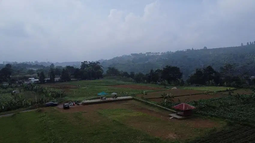 Tanah sangat murah mewah dekat jln utama puncak bogor