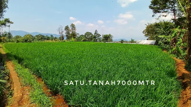 Dijual tanah luas tepi jalan strategis investasi cuan