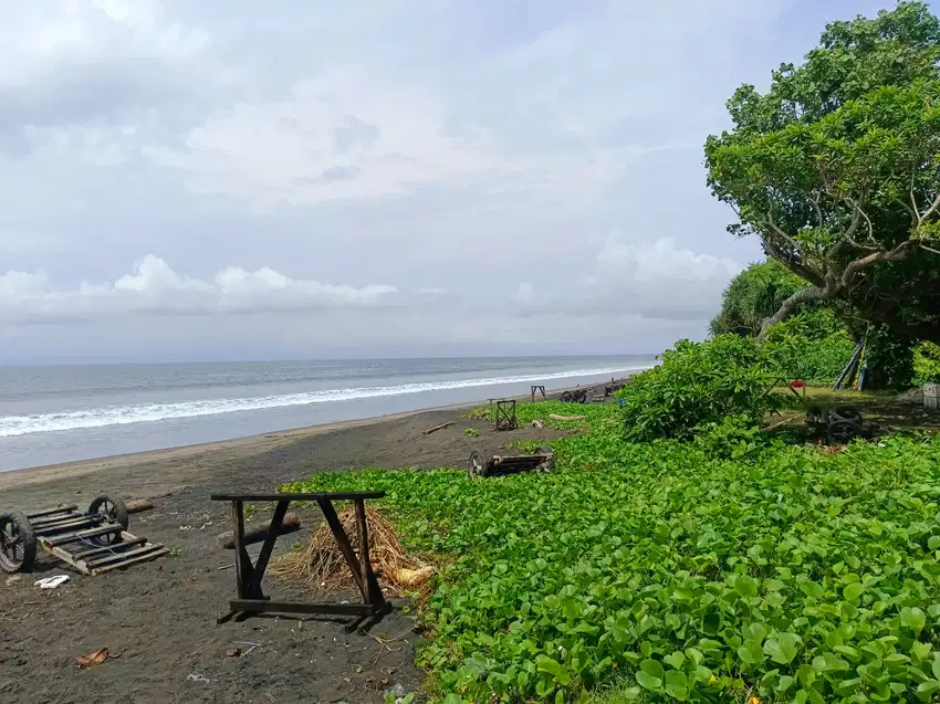 TANAH LOS PANTAI 20 ARE MENDOYO JEMBRANA BALI