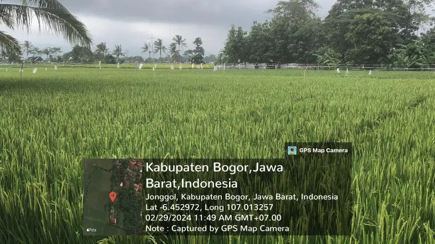 Jual Tanah dibawah NJOP di Bogor Jawa Barat