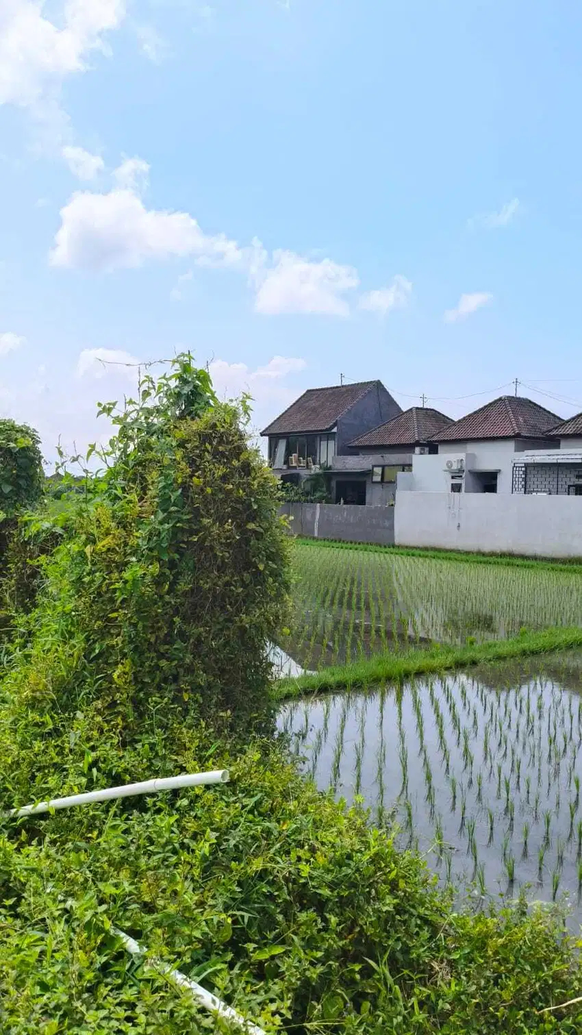 DI JUAL TANAH COCOK BUAT KAVLING NYITDAH DEKAT LUNA BEACH