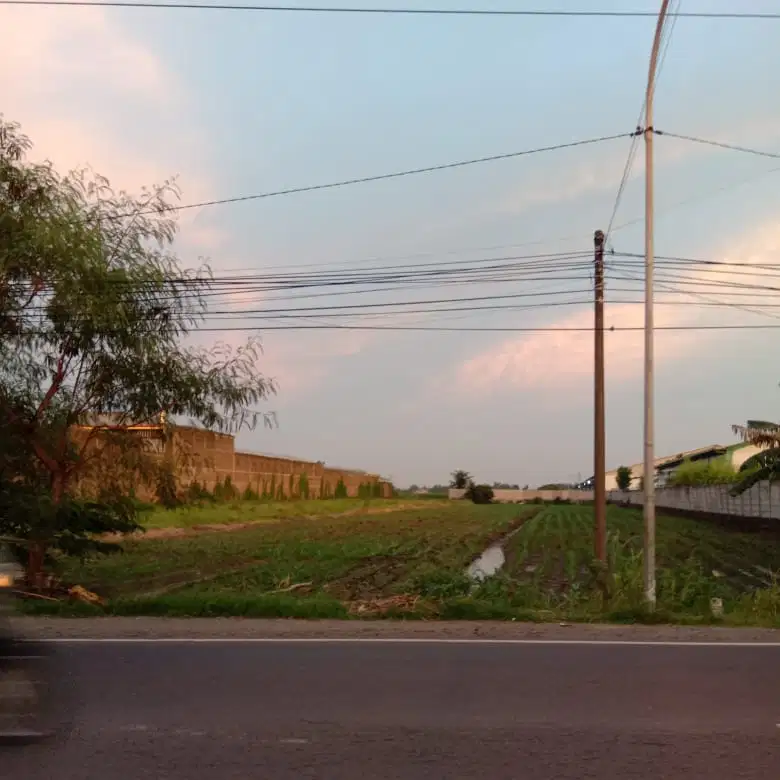 Jual Tanah strategis nol meter jalan propinsi SHM