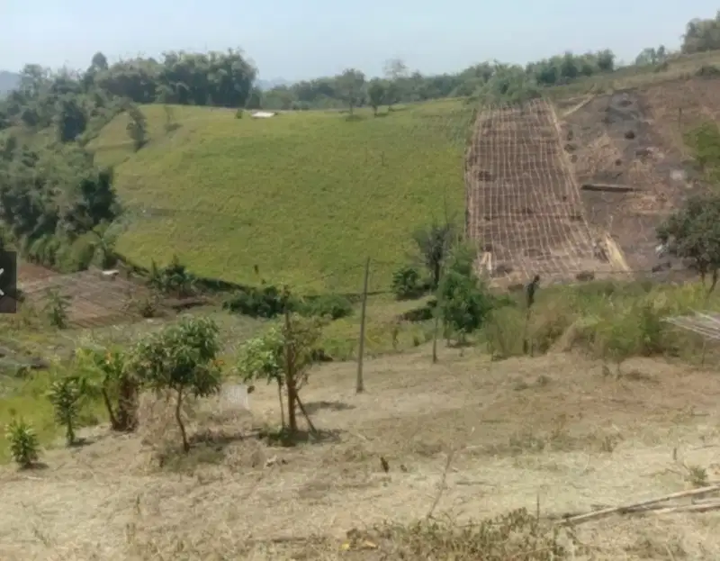 JUAL CEPAT TANAH LAGI BUTUH CIWIDEY BANDUNG SELATAN