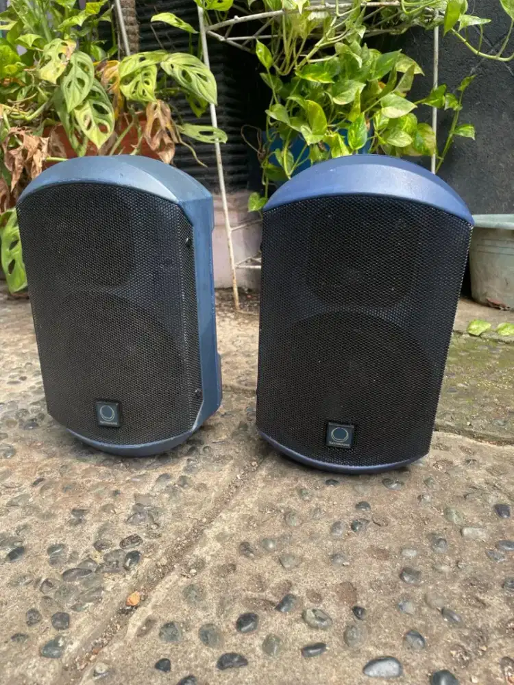 Turbosound Impact 50