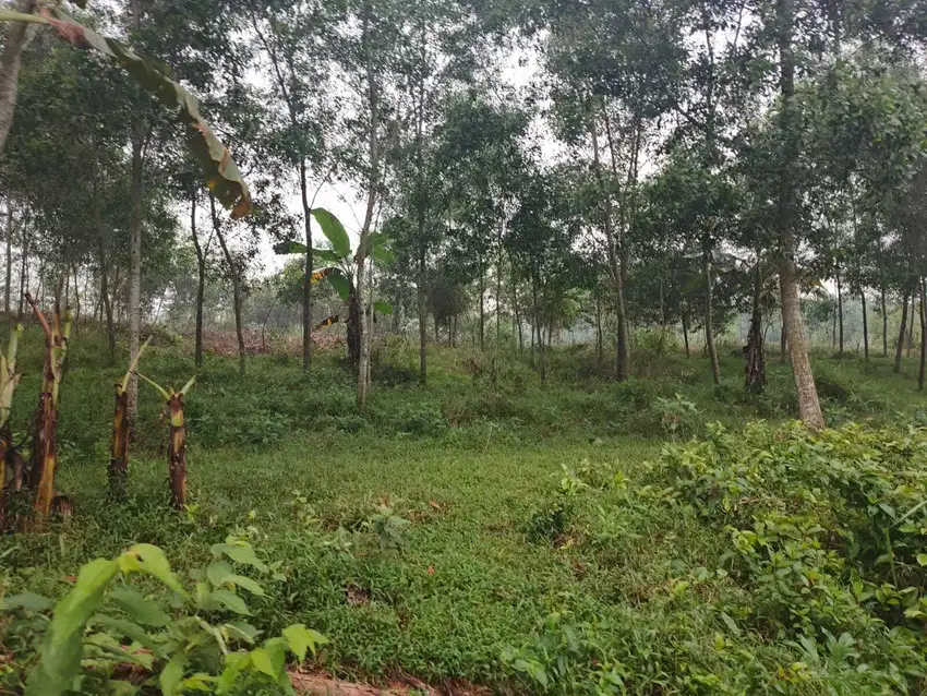 Beli Kavling di Sukamukti Sekarang, Nikmati Potensi Kenaikan Nilainya