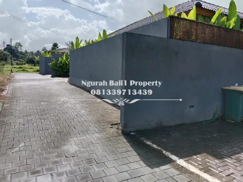 Tanah Disewakan Luas 28 Are Kawasan Villa di Sayan Ubud