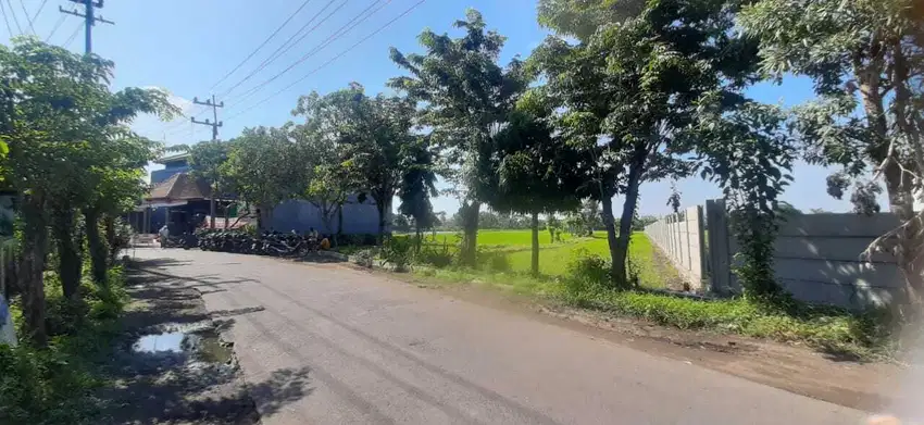 DIJUAL TANAH COCOK UNTUK PERUMAHAN ATAU GUDANG LOKASI BUDURAN SIDOARJO