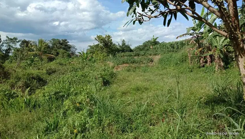 Tanah Bonus Rumah di Situ Ilir Cibungbulang Bogor Jawa Barat