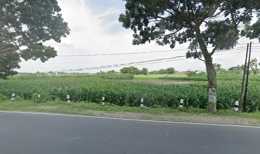 Sawah 0 Jalan Raya Pare Jombang Poros Strategis