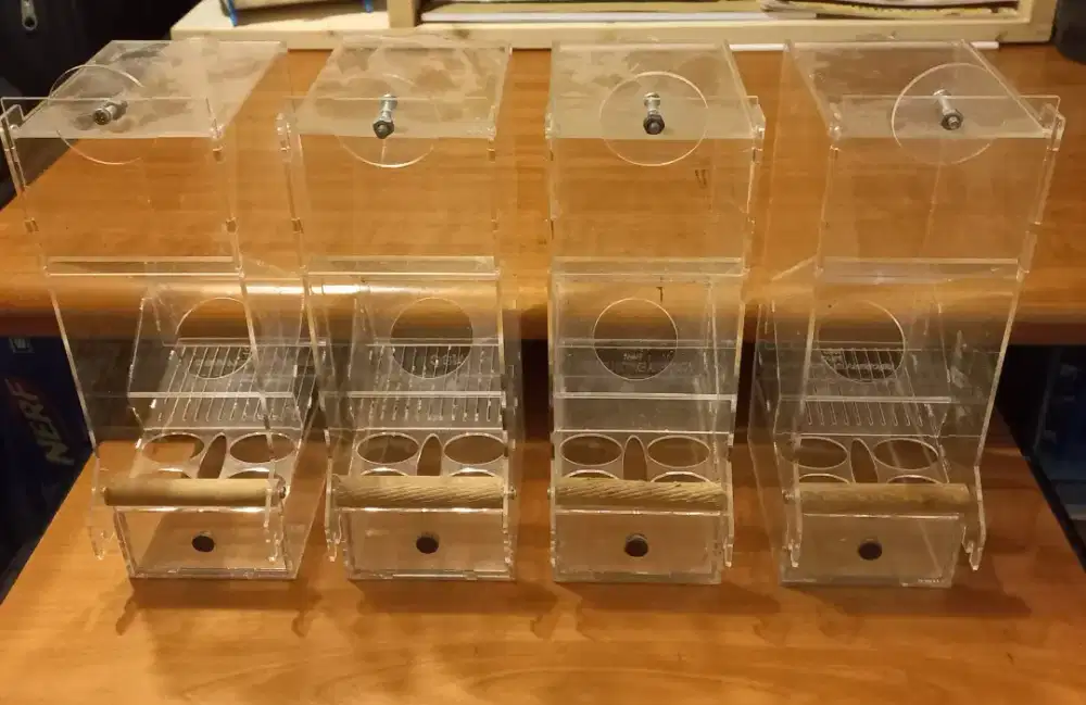 Dispenser tempat makan burung