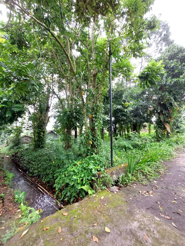 Tanah Pekarangan di Area Sejuk Candibinangun Pakem