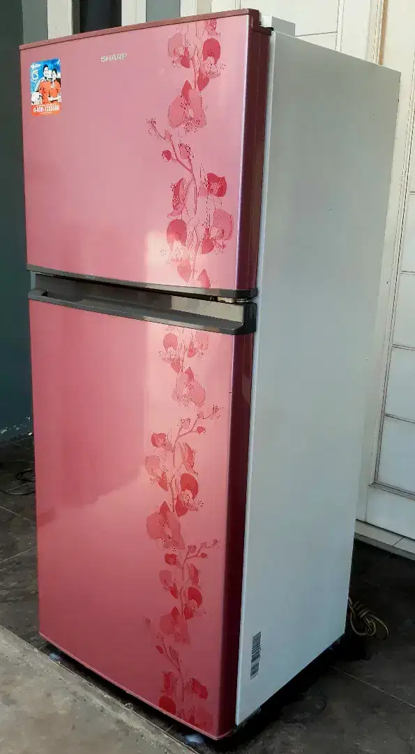 KULKAS SHARP 2 PINTU