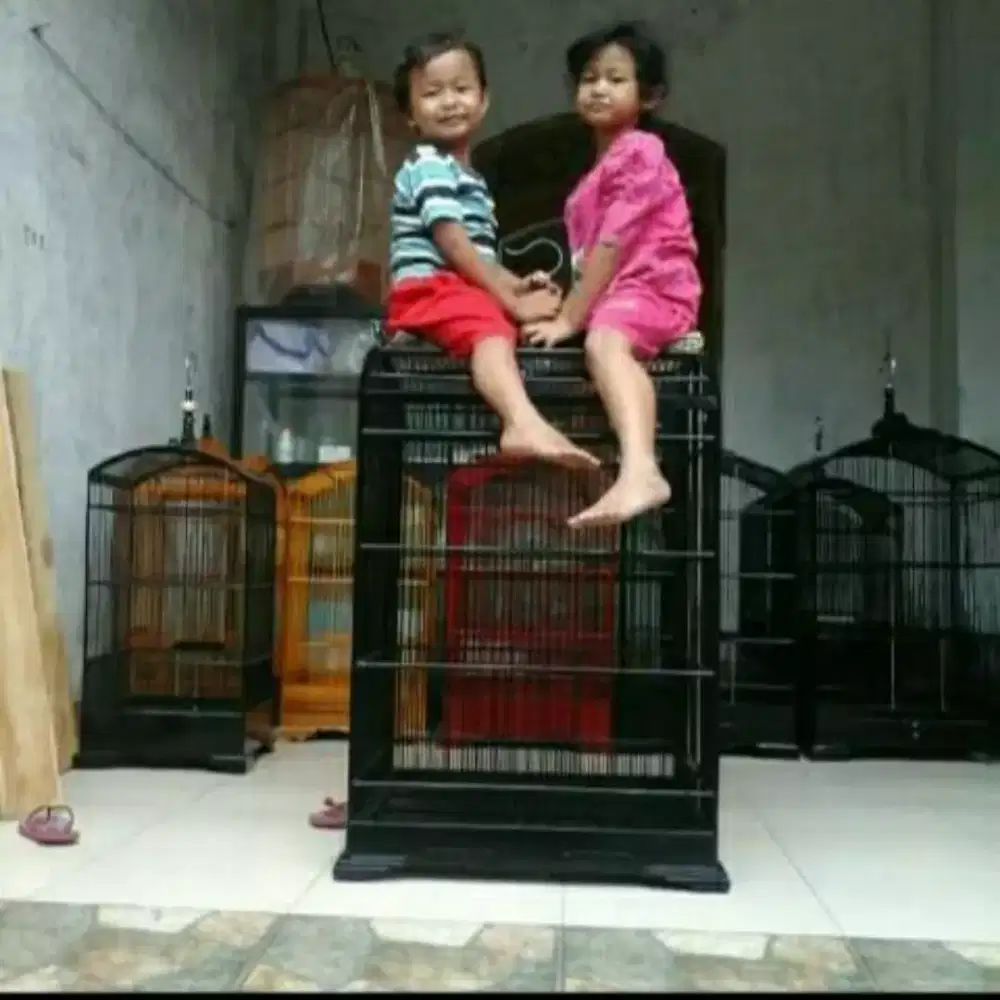 Sangkar burung beo .cicak Rowo j.alak bali