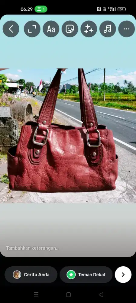 Fossil shoulder croco