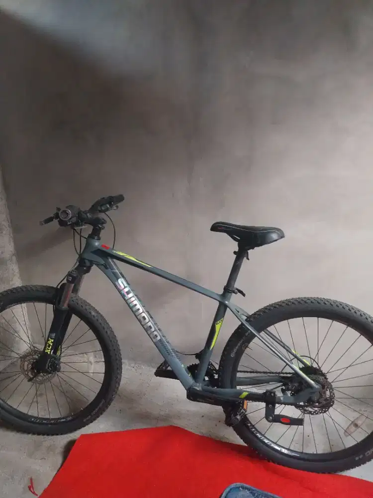 Mau jual Sepeda Pasific Blizzard 6.0