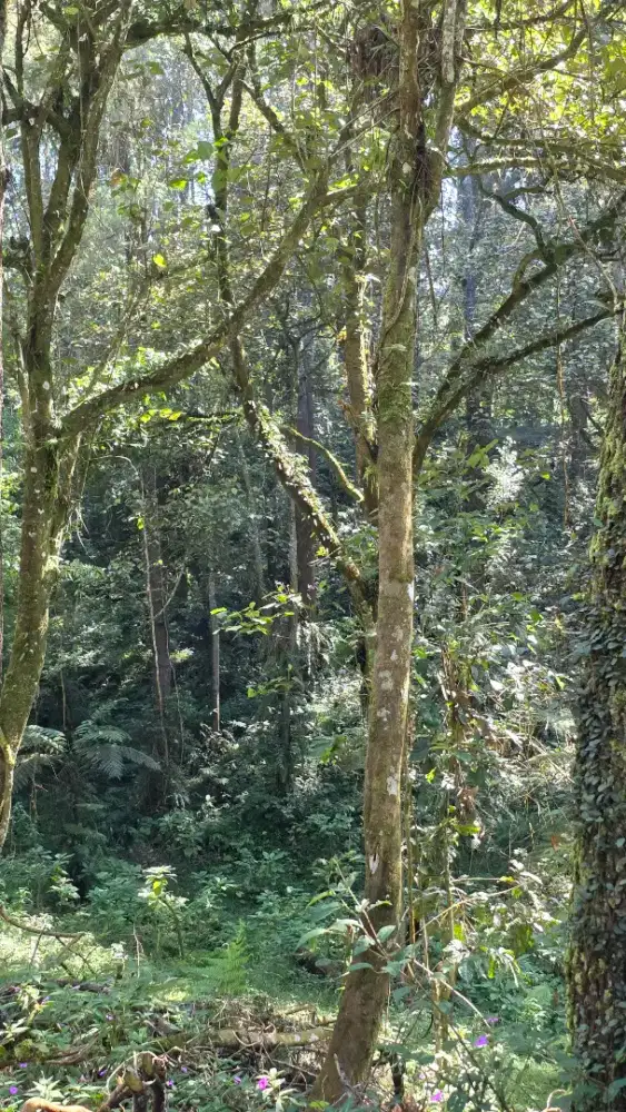 Mencari Asisten Rumah Tangga