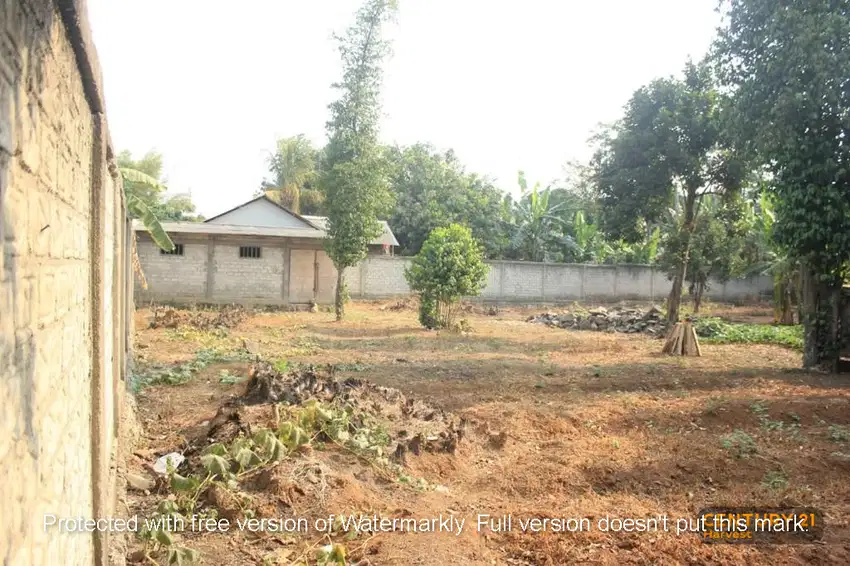 Dijual Cepat Sebidang Tanah Di Desa Purwasari Cikampek