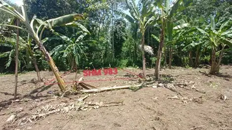 INVESTASI TANAH SHM MURAH, KEDUNGSARI, PURWOREJO