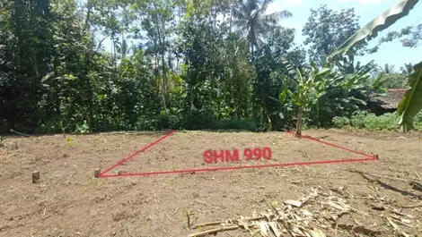 INVESTASI TANAH SHM MURAH, KEDUNGSARI, PURWOREJO