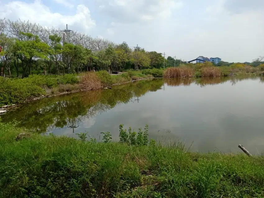 Jual Cepat Lahan Strategis Untuk Perumahan, Lokasi Gadung Driyorejo