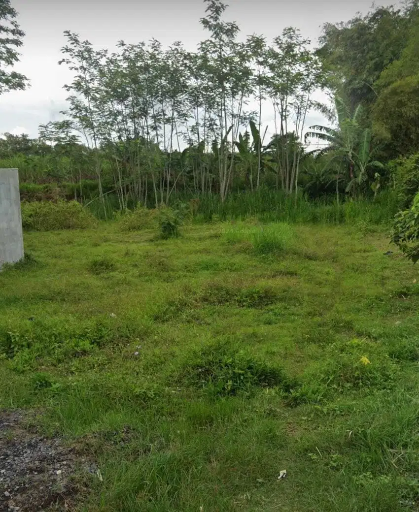TANAH MURAH SAPTORENGGO PAKIS MALANG DIJUAL MURAH BISA NEGO