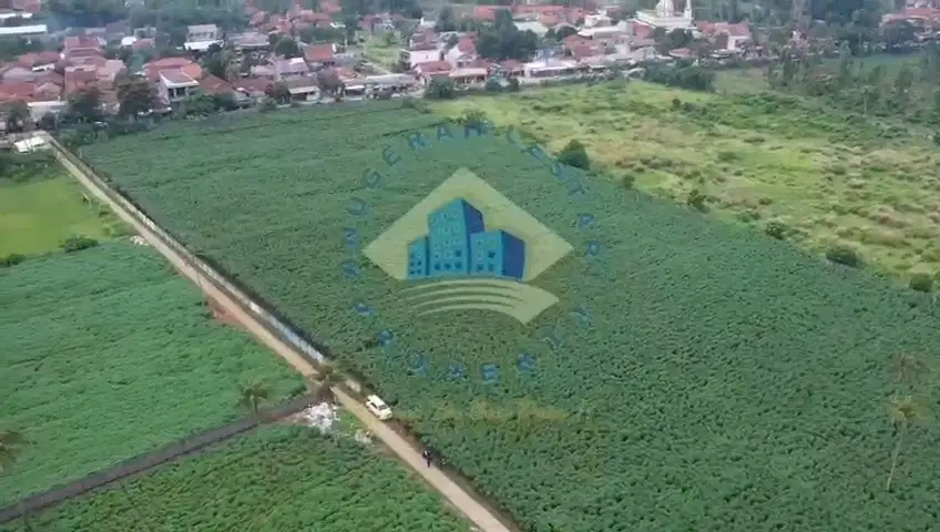 Jual Tanah di Jalan Putat Nutug, Ciseeng - Bogor, Jawa Barat