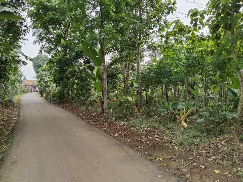 Dijual Tanah Kebun | Berdamping Dengan Vila Dan Rumah Warga